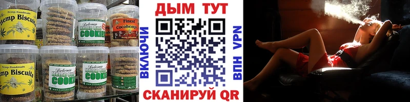 как найти наркотики  Щёлково  Еда ТГК марихуана 