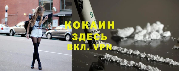 дживик Абинск