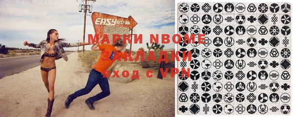 шишки Алзамай