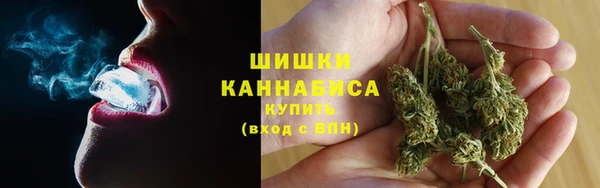 шишки Алзамай